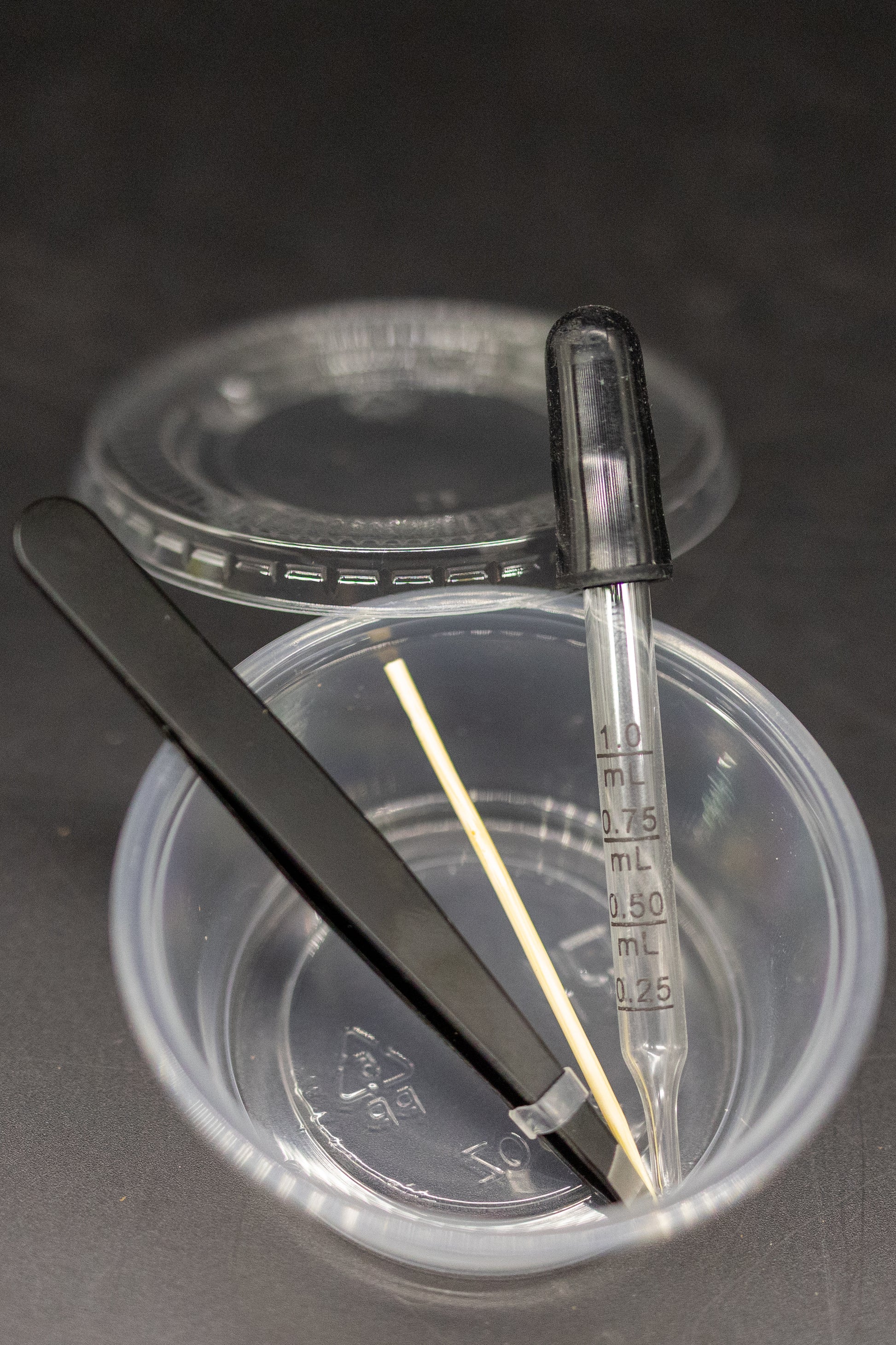 venus flytrap feeding accessories