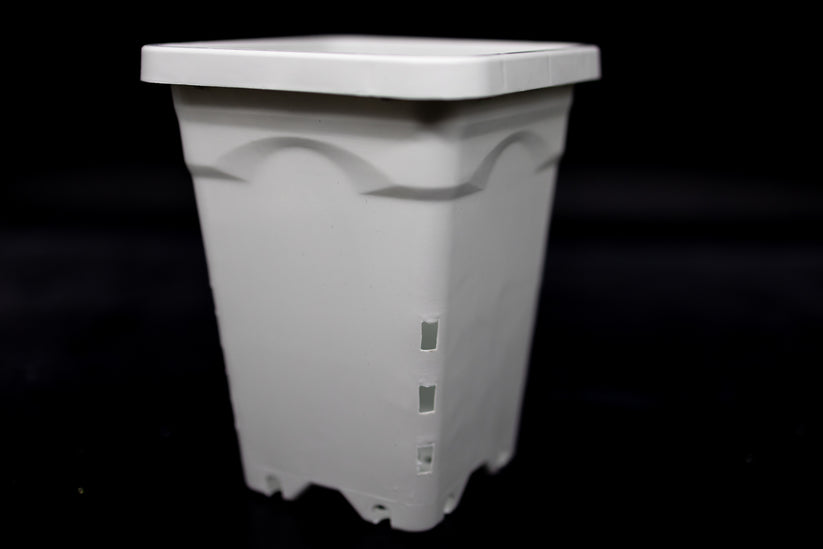 Large Planter