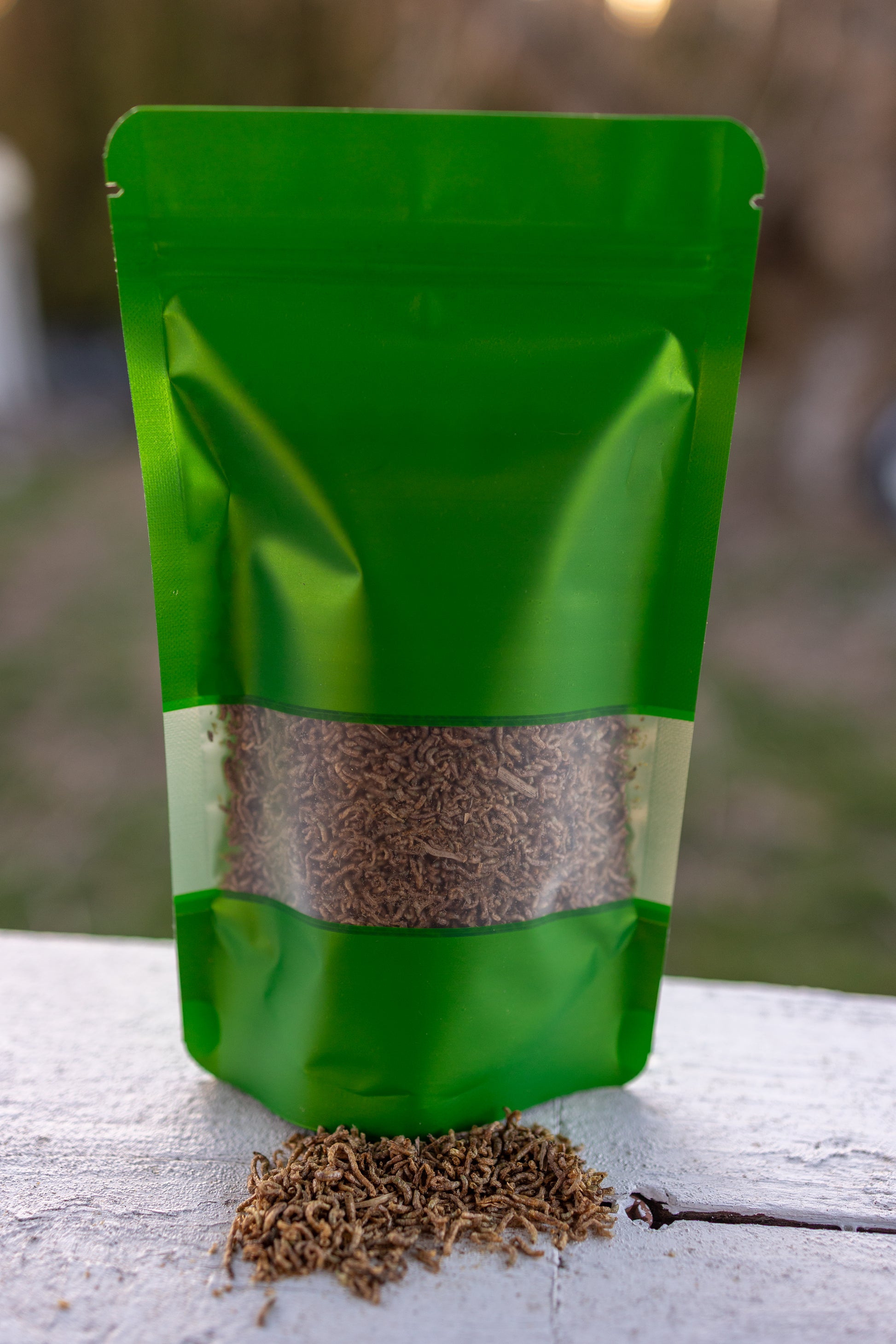 venus fly trap bloodworms