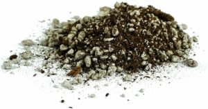 best venus flytrap soil mix