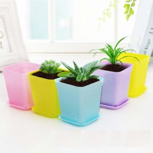 plastic pots for venus flytraps