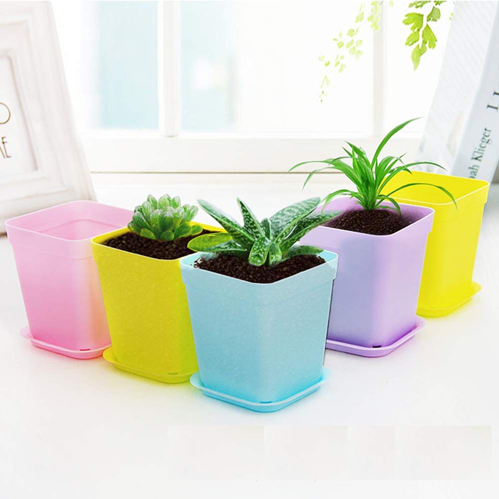 plastic pots for venus flytraps